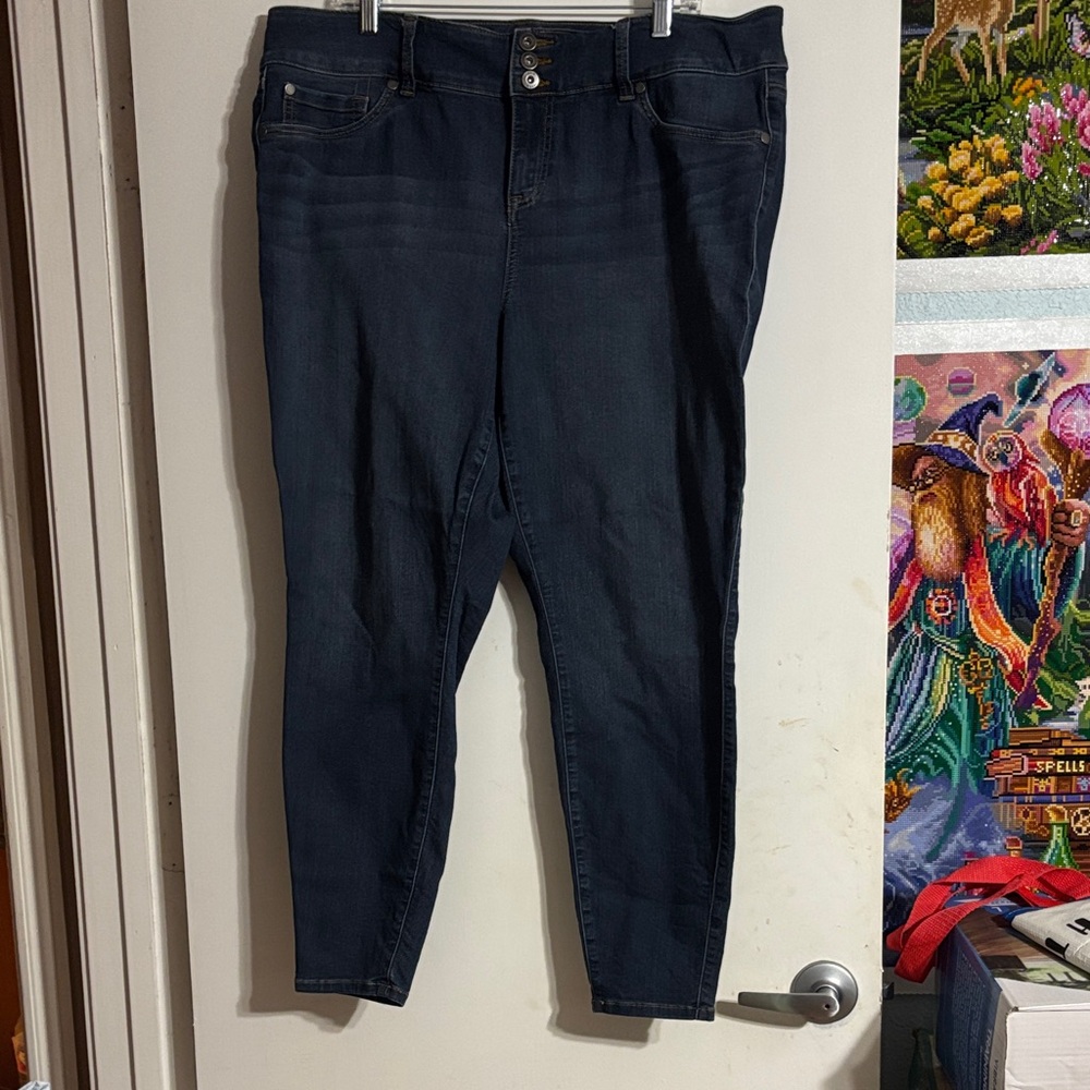 Torrid Dark Blue Women's Jeggings